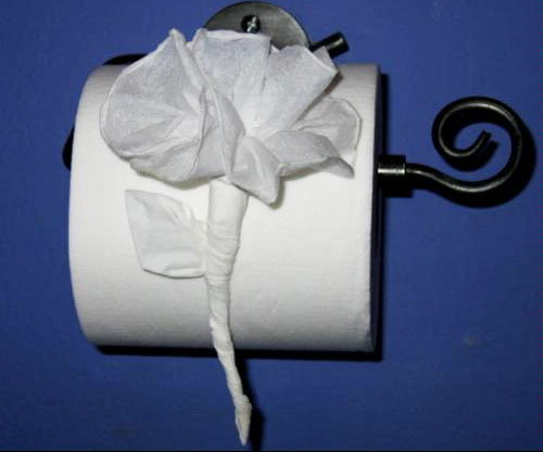Toilet Paper Origami