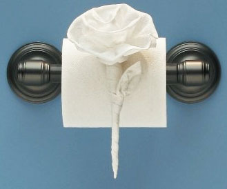 Toilet Paper Origami