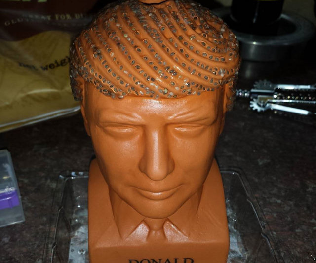 Donald Trump Chia Pet