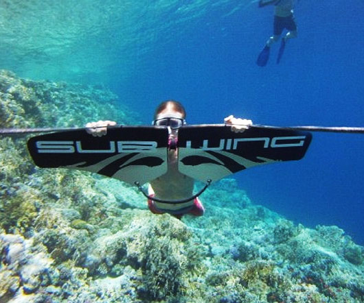 Subwing Underwater Glider