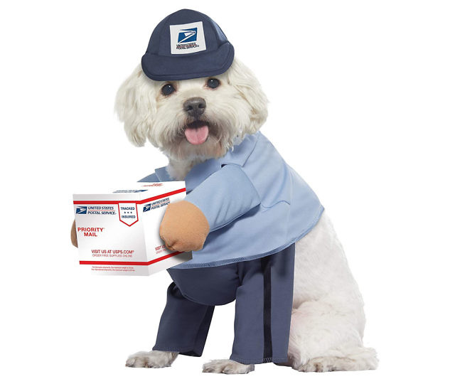 US Mail Carrier Dog Costume
