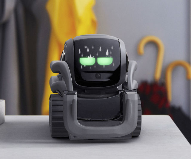 Vector Mini Personal Robot