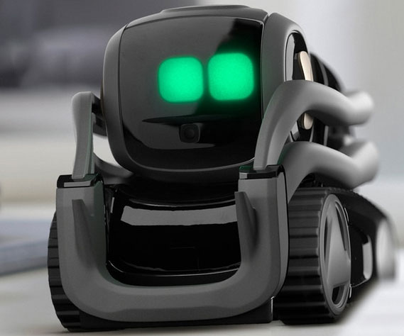 Vector Mini Personal Robot