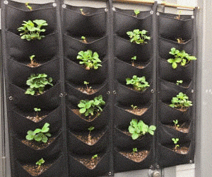 Hanging Vertical Garden Wall Planter