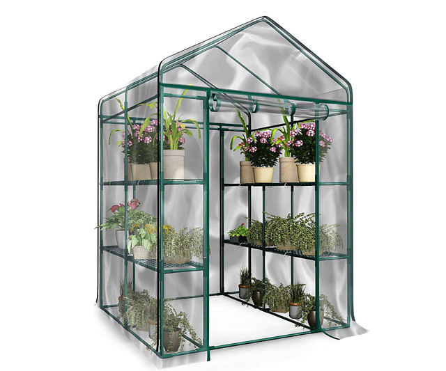 Walk-In Greenhouse