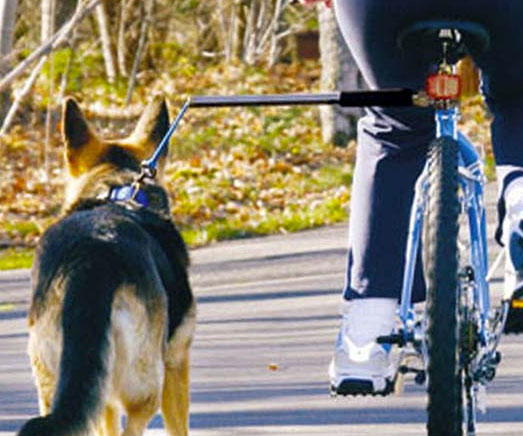 Hands Free Bicycle Leash