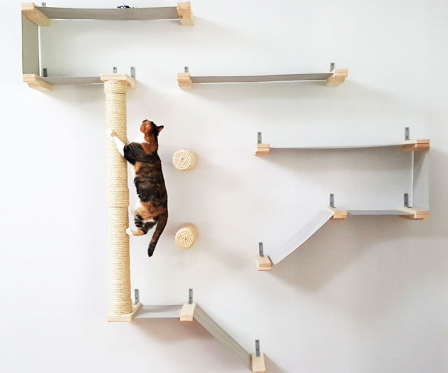 Cat Hammock Activity Center