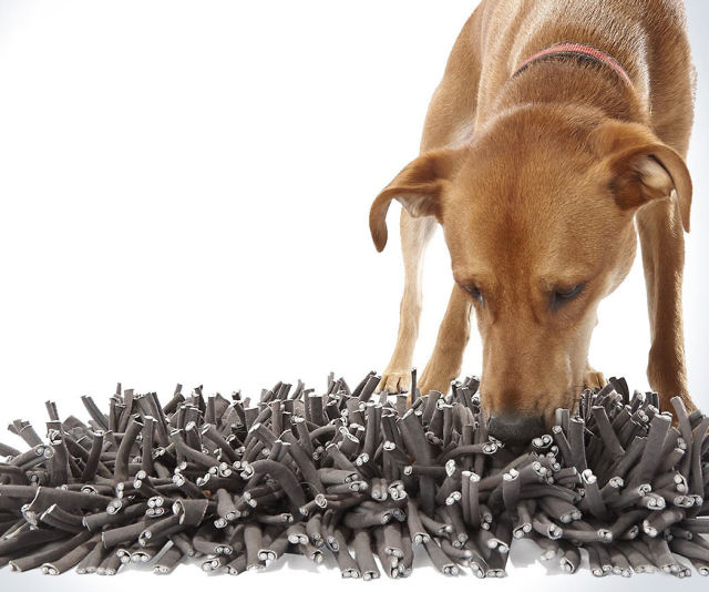 Foraging & Feeding Mat For Dogs