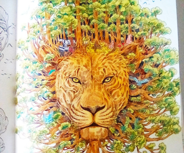 Worlds Within Worlds Coloring Book