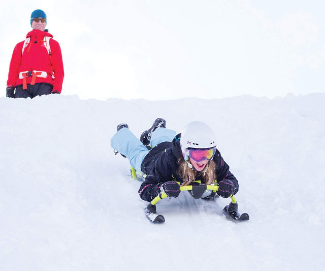The Steerable Snow Sled
