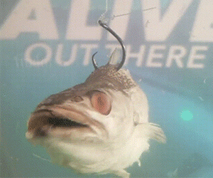 Zombie Bait Lures