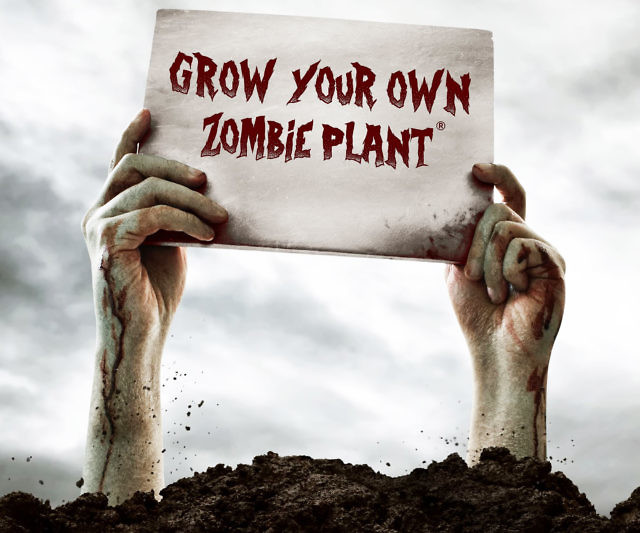 Zombie Plant Seed Packets