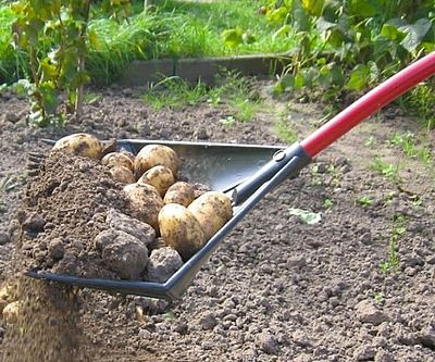 2-In-1 Shovel And Rake