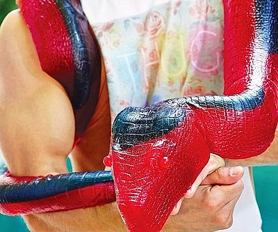 26 Pound Gummy Worm Python