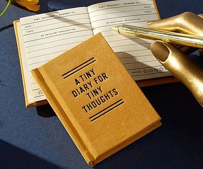 A Tiny Diary for Tiny Thoughts
