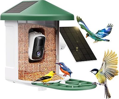 AI Identify Species Bird Feeder