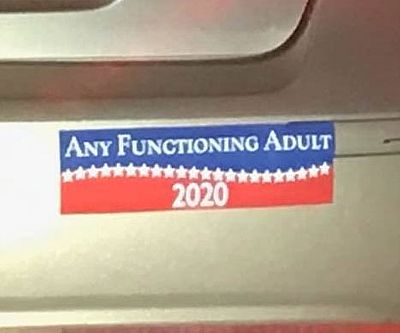 Any Functioning Adult Bumper Sticker