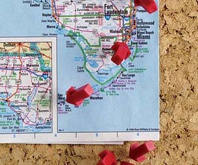 Arrow Push Pins