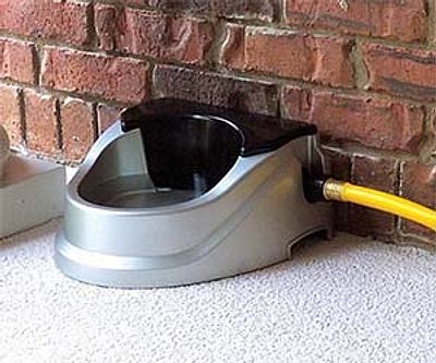 Auto Refilling Dog Bowl