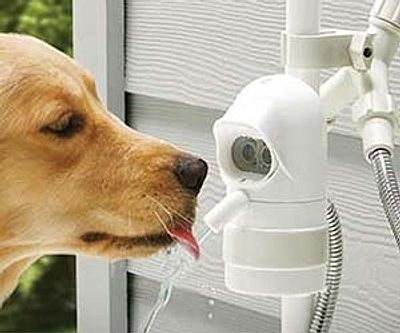 Automatic Dog Drinking Fountain
