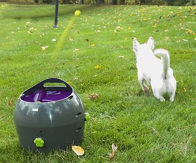 Automatic Pet Ball Launcher