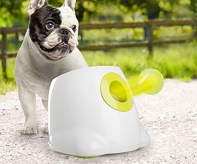 Automatic Tennis Ball Launching Dog Toy