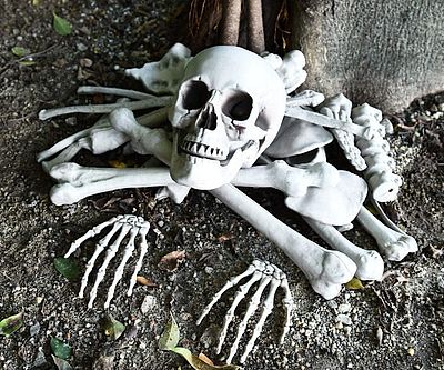 Bag Of Skeleton Bones And Skull