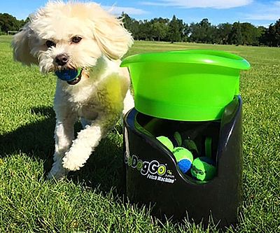 Ball Launching Fetch Machine