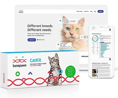 Basepaws Cat DNA Test Kit