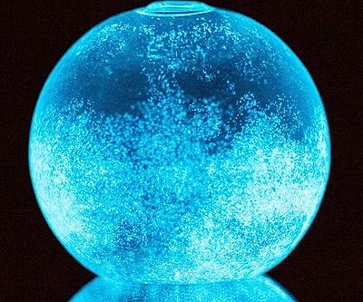 Bioluminescent Plankton Mini Aquarium