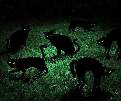 Black Cat Halloween Yard Decor