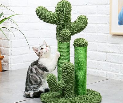 Cactus Cat Scratch Post