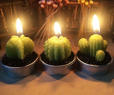 Cactus Tea Light Candles