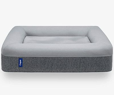 Casper Memory Foam Dog Bed