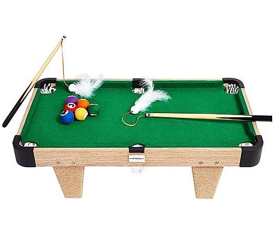 Cat Billiards Table