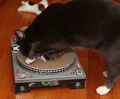 Cat Scratch Turntable