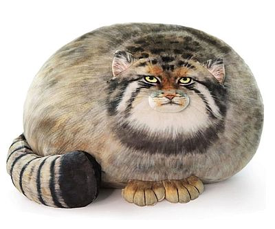 Chonker Cat Plush Pillow