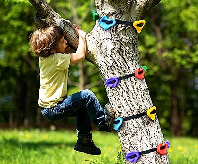 Tree Climbing Holds For Kids