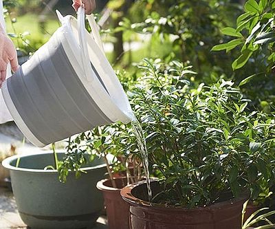 Collapsible Silicon Bucket