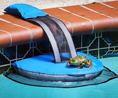 Critter Saving Escape Ramp