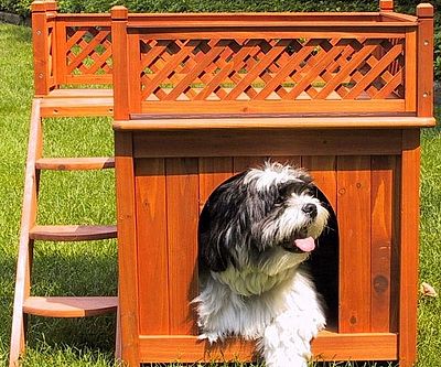Dog Bunk Bed