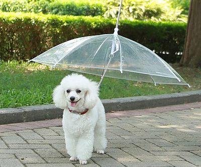 The Dog Umbrella