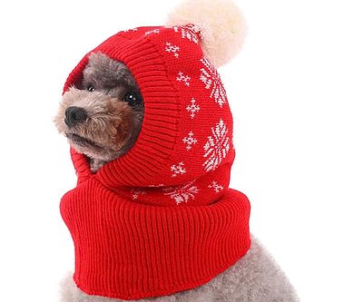 Dog Winter Hat
