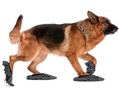 Doggie Floor Dusting Slippers