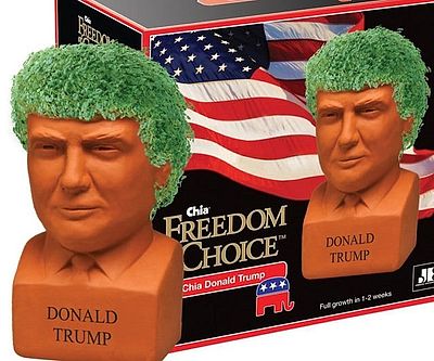 Donald Trump Chia Pet