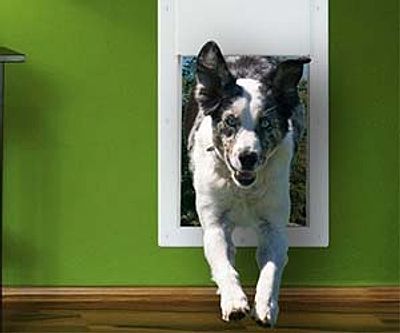 Electronic Doggy Door