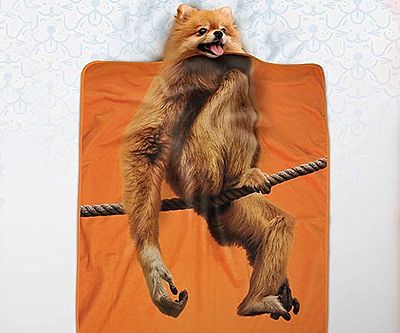 Exotic Pet Blanket