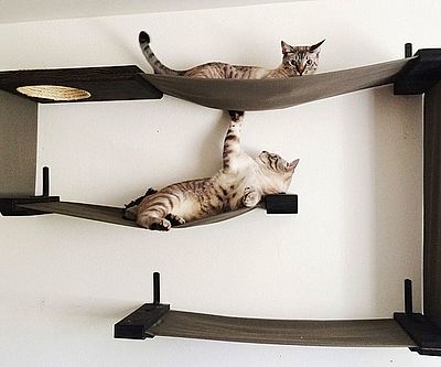 Fabric Cat Maze