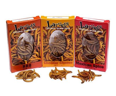 Flavored Larvae Samplers