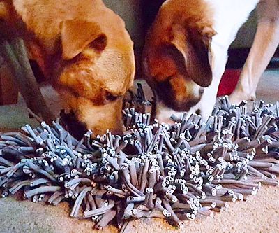 Foraging & Feeding Mat For Dogs